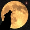 Avatar do usuário